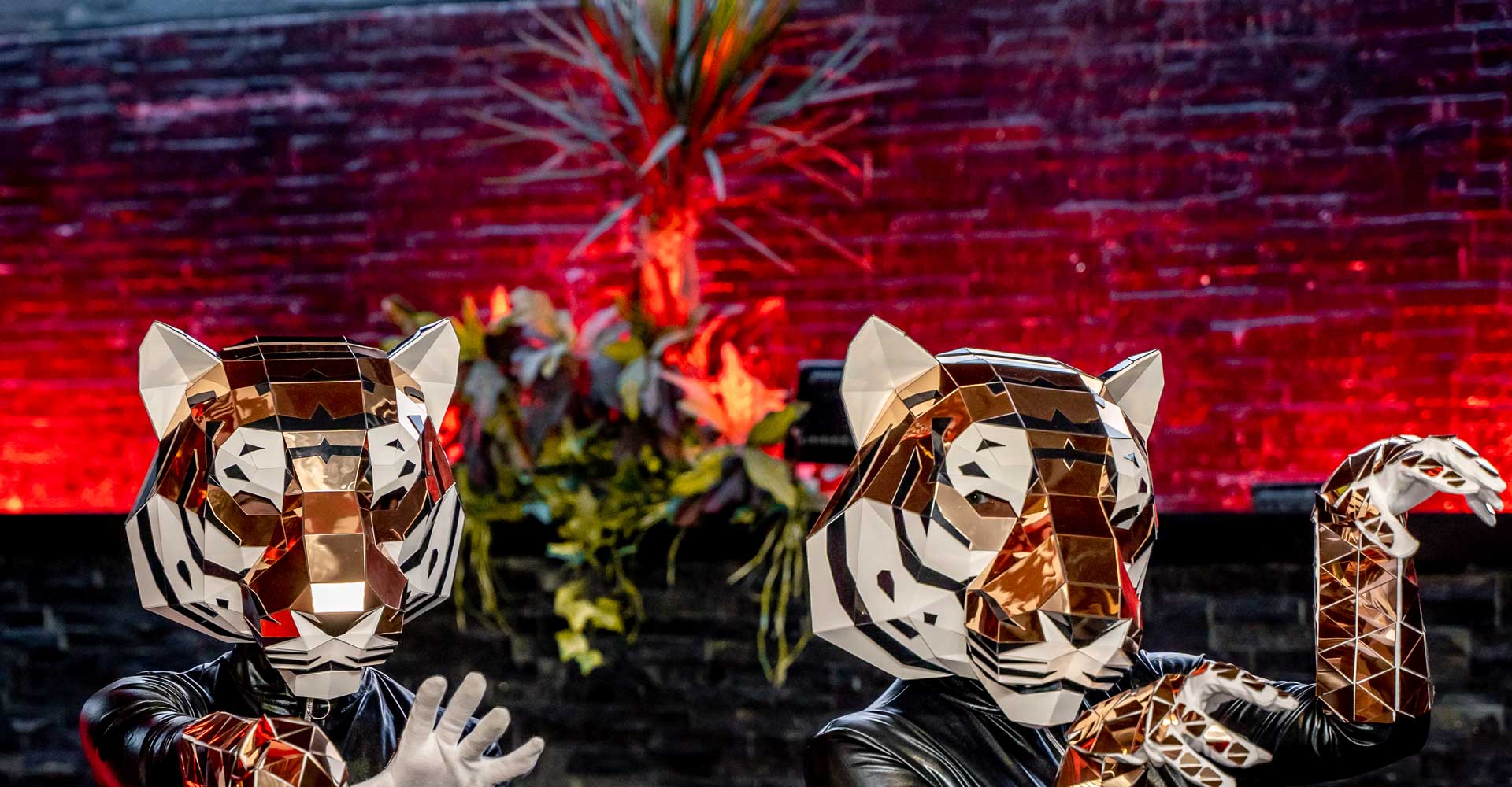 Events and live nights at Tigerbay